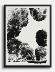 Shadowed Canopy Canvas Print Black
