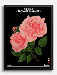 Paris Night Blooms Canvas Print Black