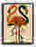 Flamingo Duo Charm Canvas Print Black