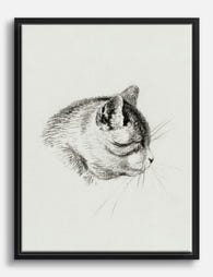 Serene Cat by Jean Bernard Canvas Print Black