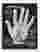 Vintage Palmistry Guide Canvas Print Black