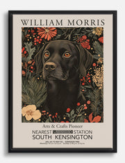 Lienzos de retratos de animales