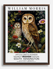 Owls Canvas Prints