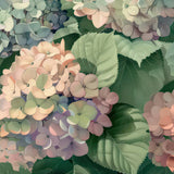 Flowers Art Prints