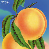 Fruit Art Prints