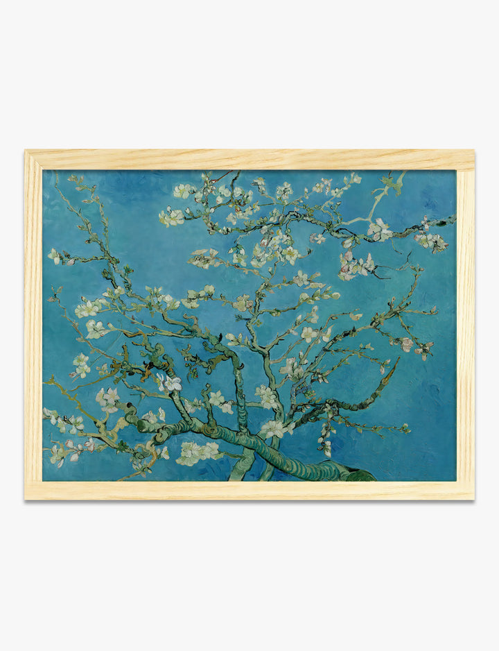 Poster amandelbloesem van Van Gogh