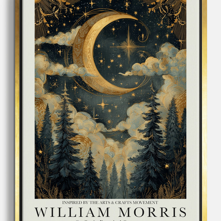 Night Sky Canvas Prints
