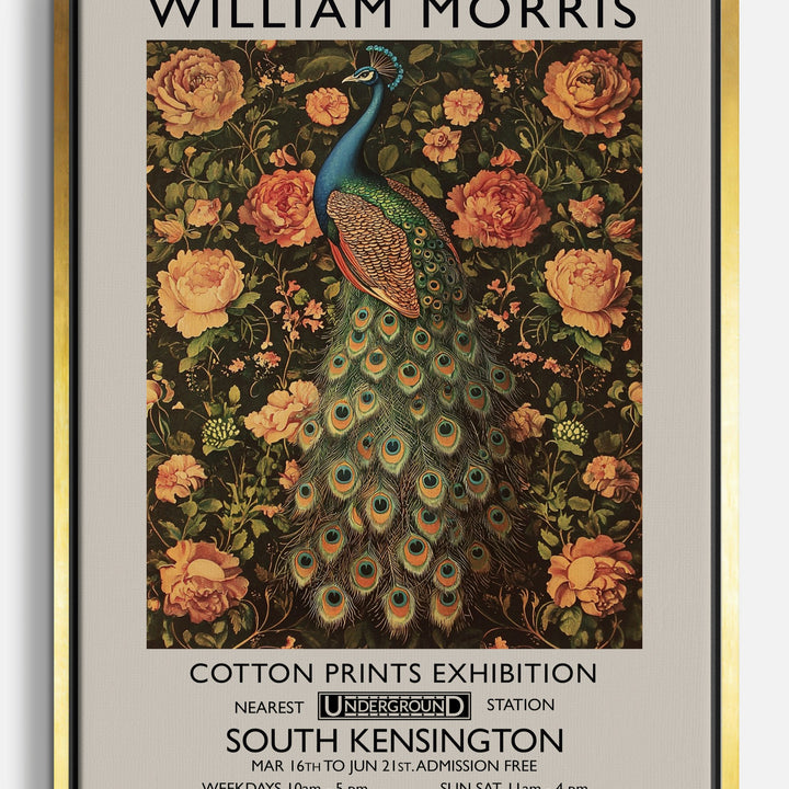 Lienzos de pavo real