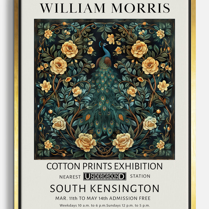 Peacock Canvas Prints