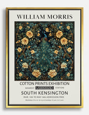 Lienzos de pavo real