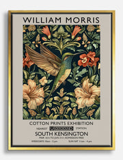 Hummingbird Canvas Prints