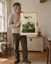 Lifestyle: bedroom — Hudson Valley period farmhouse in upstate New York — wide-plank floors, antique furniture, layered textiles and a calm studiousness that suits Audubon's naturalist prints