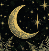 Moon Art Prints
