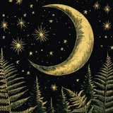 Night Sky Art Prints