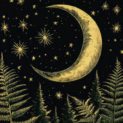 Night Sky Art Prints