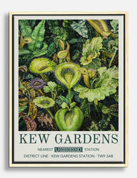 Botanical Wonder Canvas Print Oak