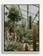 Greenhouse Canvas Prints
