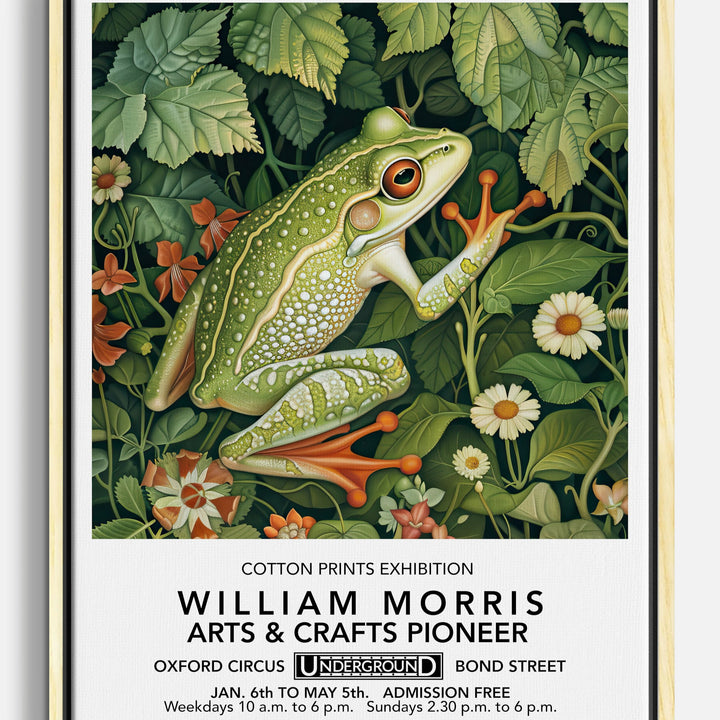 Grenouilles Tableaux sur toile