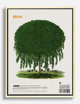 Willow Whispers Canvas Print Oak