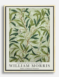 William Morris Botanical Leaves Canvas Print - Oak