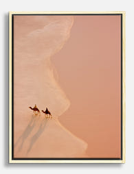 Golden Dunes Journey Canvas Print Oak