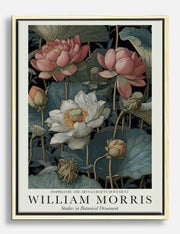 Water Lilies Canvas Prints