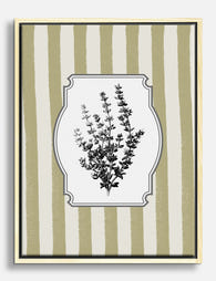 Thyme Botanical Chic Canvas Print Oak
