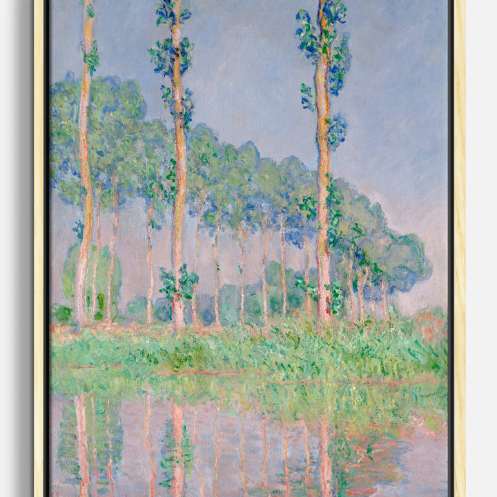 Lienzos de reflexión