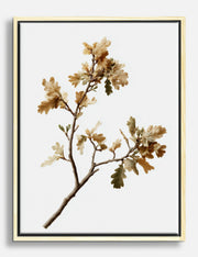 Lienzos de ramas