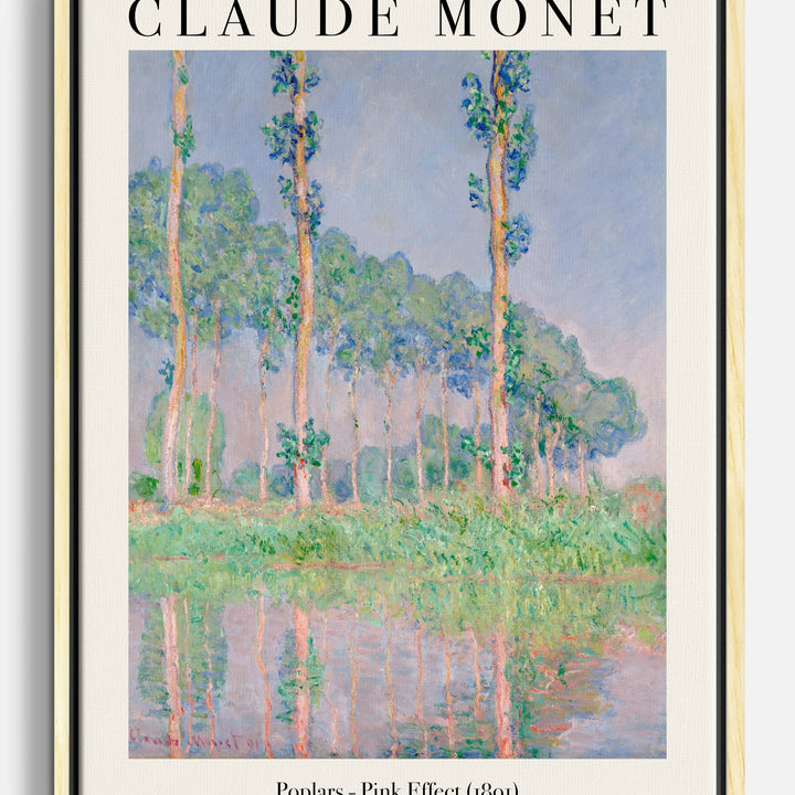 Lienzos de reflexión