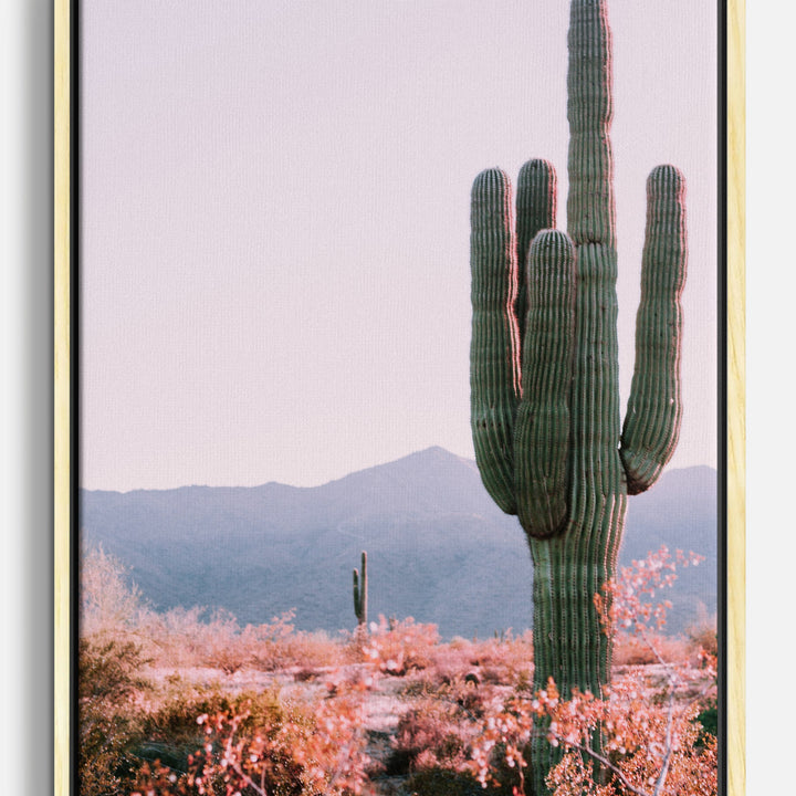 Desert Canvas Prints