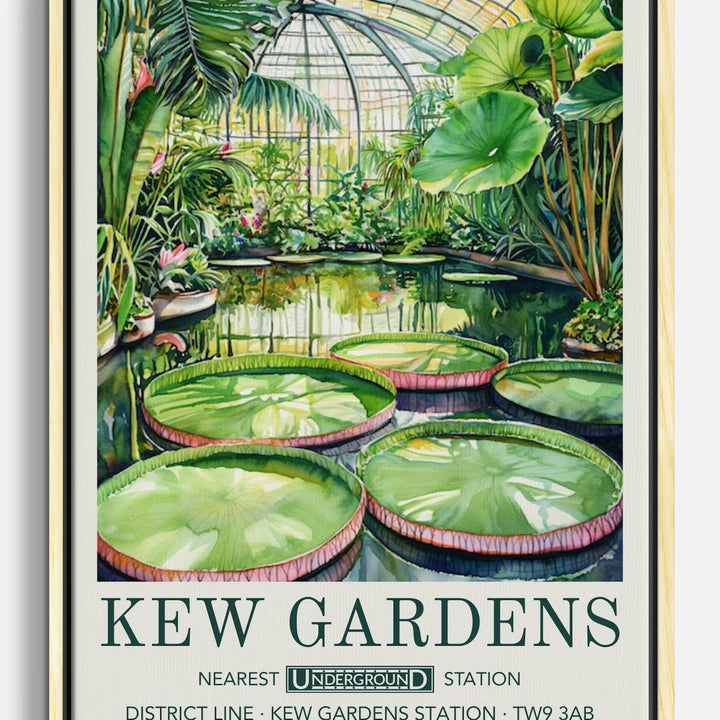 Waterlilies Canvas Prints