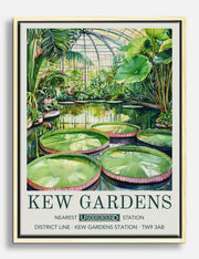 Waterlilies Canvas Prints