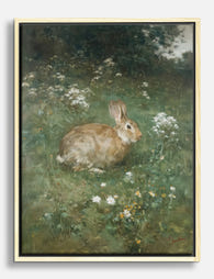 Meadow Rabbit Serenity Canvas Print Oak
