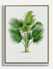 Pflanzen Leinwandbilder