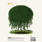 Plants & Trees Art Prints