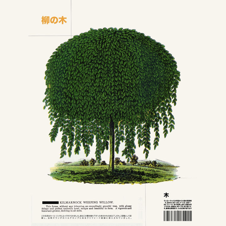 Plants & Trees Art Prints