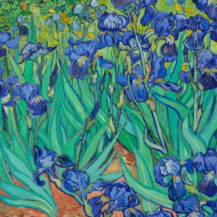 Vincent van Gogh Pflanzen-Poster