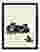 Curious Kittens & Frog Art Print - Black
