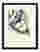 Henri Matisse, Le grand nu Art Print - Black