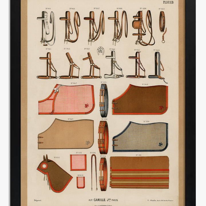 Horses Art Prints