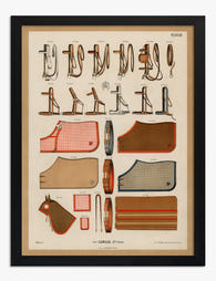 Equestrian Heritage Study Art Print - Black