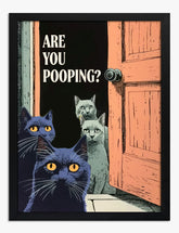 Curious Cats Humor Art Print - Black