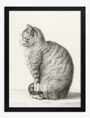 Jean Bernard katten posters