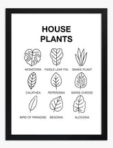 Botanical Line Art Collection Art Print - Black
