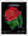 Midnight Rose Market Art Print - Black