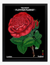 Midnight Rose Market Art Print - Black