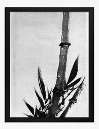 Bamboo by Katsushika Hokusai Art Print Black