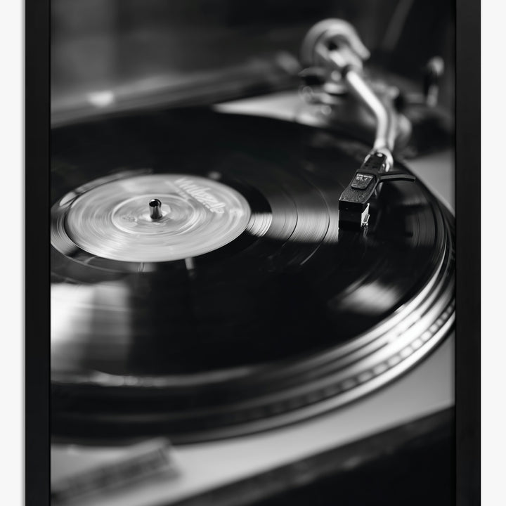 Vinyl Art Prints