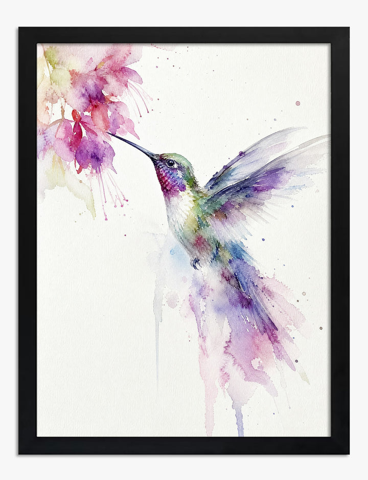 Hummingbird and Fuchsia Art Print Black